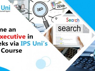 Become an SEO Executive in 8 Weeks via IPS Uni’s Short Course