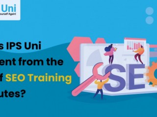 How is IPS Uni Different from the rest of SEO Training Institutes?